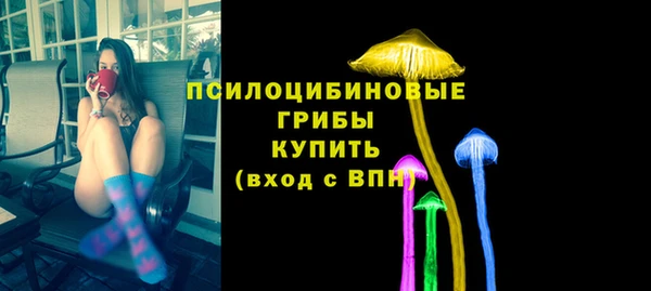 a pvp Осинники