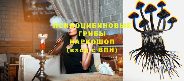 спиды Аркадак