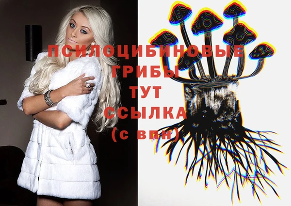спиды Аркадак