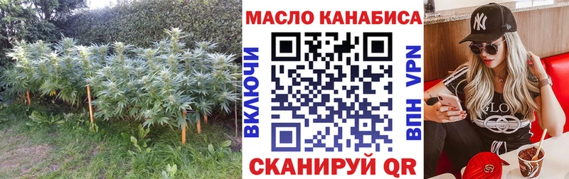 Дистиллят ТГК концентрат закладки Сясьстрой