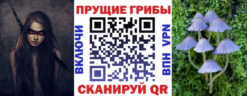 shop какой сайт  Сясьстрой  Псилоцибиновые грибы Psilocybine cubensis 
