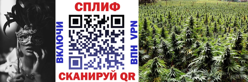Бошки марихуана AK-47  мега ссылка  Сясьстрой  купить наркоту 